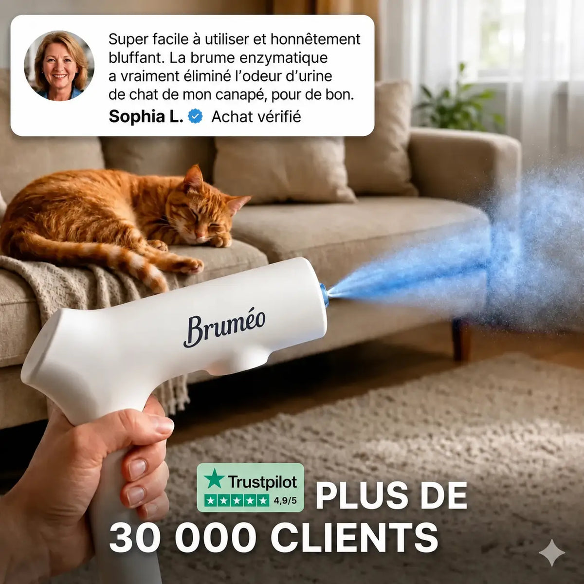 Bruméo — Brumisateur anti-odeurs pour animaux