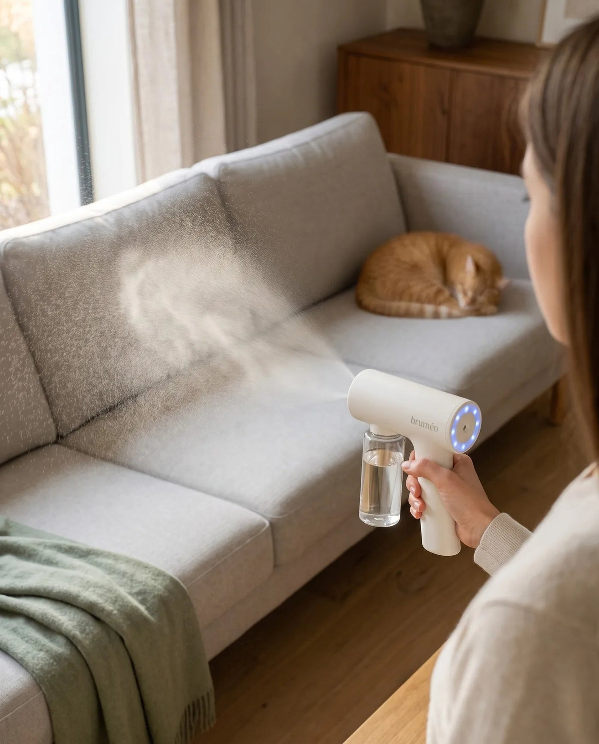 Brumisation d'un canapé en tissu, chat roux endormi à l'autre bout